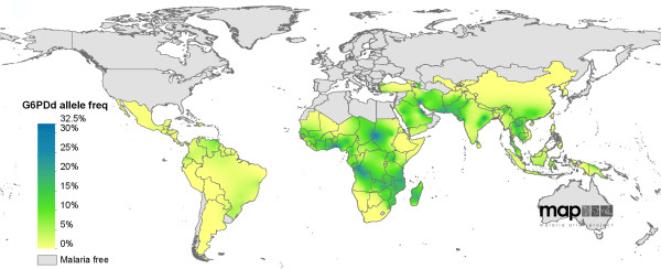 mapa genu G6PD